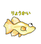 メダカ 黄金ヒカリダルマ（個別スタンプ：32）