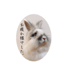 Minchopila+Kaho（個別スタンプ：2）