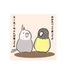 Minchopila+Kaho（個別スタンプ：10）