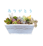 Minchopila+Kaho（個別スタンプ：26）