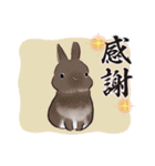 Minchopila+Kaho（個別スタンプ：28）