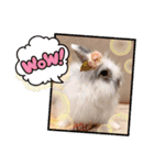 Minchopila+Kaho（個別スタンプ：32）