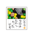 ひまり♡vol.4（個別スタンプ：13）