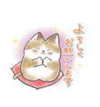 日常会話 ねこさんスタンプ（個別スタンプ：4）