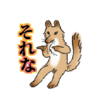 聞き上手の犬君（個別スタンプ：14）