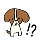 キャバリアだけどボブヘア(英語版)（個別スタンプ：19）