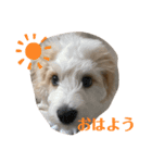 リビンくん！（個別スタンプ：3）