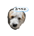 リビンくん！（個別スタンプ：7）