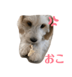 リビンくん！（個別スタンプ：12）