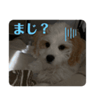 リビンくん！（個別スタンプ：14）