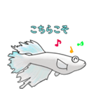 メダカマリアージュキッシングワイドフィン（個別スタンプ：11）
