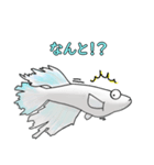 メダカマリアージュキッシングワイドフィン（個別スタンプ：17）
