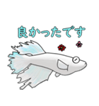 メダカマリアージュキッシングワイドフィン（個別スタンプ：39）