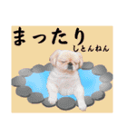 さーちんず5（個別スタンプ：9）