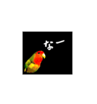 さーちんず5（個別スタンプ：10）