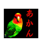 さーちんず5（個別スタンプ：13）