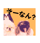 さーちんず5（個別スタンプ：16）