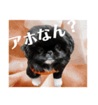 さーちんず5（個別スタンプ：18）