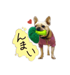 フレブルのライルとバッシュ（個別スタンプ：9）