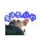 フレブルのライルとバッシュ（個別スタンプ：14）