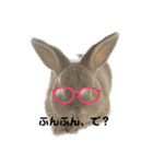 ミニうさぎポコちゃん（個別スタンプ：9）
