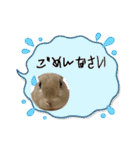 ミニうさぎポコちゃん（個別スタンプ：20）