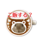 ミニうさぎポコちゃん（個別スタンプ：21）