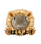 ミニうさぎポコちゃん（個別スタンプ：22）