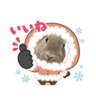 ミニうさぎポコちゃん（個別スタンプ：29）