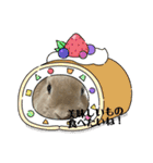 ミニうさぎポコちゃん（個別スタンプ：30）