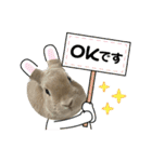 ミニうさぎポコちゃん（個別スタンプ：33）