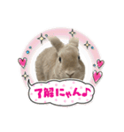 ミニうさぎポコちゃん（個別スタンプ：37）