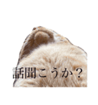 ねこさん(お喋り編)（個別スタンプ：8）