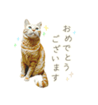 茶トラ 猫 毎日使える スタンプ（個別スタンプ：15）