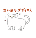 イカ耳猫さんのあいさつスタンプ（個別スタンプ：1）