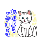 可愛い猫ちゃん♪（個別スタンプ：3）