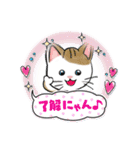 可愛い猫ちゃん♪（個別スタンプ：4）