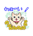 可愛い猫ちゃん♪（個別スタンプ：7）