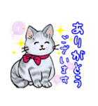 可愛い猫ちゃん♪（個別スタンプ：14）