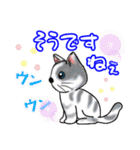 可愛い猫ちゃん♪（個別スタンプ：21）