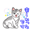 可愛い猫ちゃん♪（個別スタンプ：24）