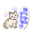 可愛い猫ちゃん♪（個別スタンプ：26）