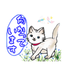 可愛い猫ちゃん♪（個別スタンプ：27）