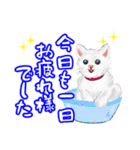 可愛い猫ちゃん♪（個別スタンプ：36）