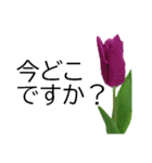 *花*チューリップ ていねいVer.（個別スタンプ：19）