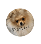 LINEでよく使うことば集めてみた（個別スタンプ：2）