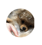 LINEでよく使うことば集めてみた（個別スタンプ：3）