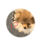 LINEでよく使うことば集めてみた（個別スタンプ：5）