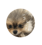 LINEでよく使うことば集めてみた（個別スタンプ：8）