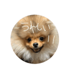 LINEでよく使うことば集めてみた（個別スタンプ：11）